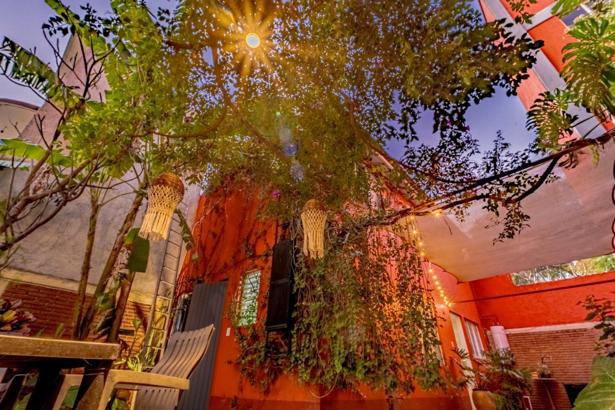 Casa Guanab Guest House Oaxaca Exterior foto