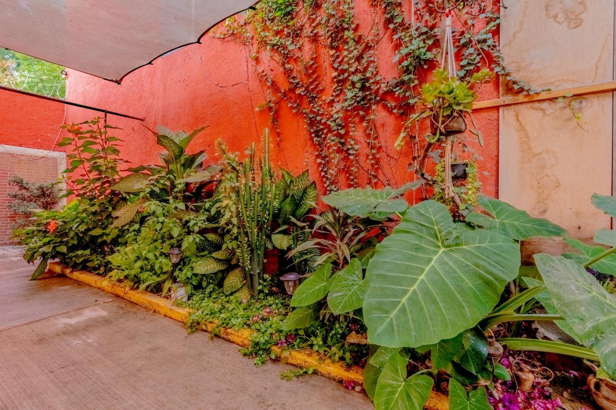 Casa Guanab Guest House Oaxaca Exterior foto